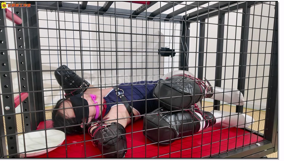 CYC040-长颜草 霜喵人形犬调教 爬行 狗笼固定崩溃电击 口水收集 sp tk 多元素