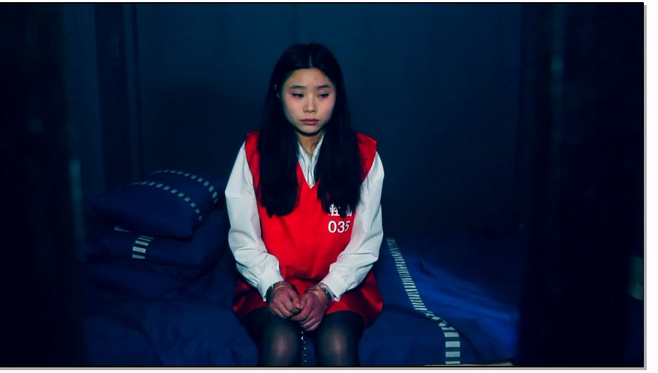 SJSZ669-胜景影视 妙龄少女走上不归路 上集 毒犯王丽娜在公园等接头人结果自己被抓了